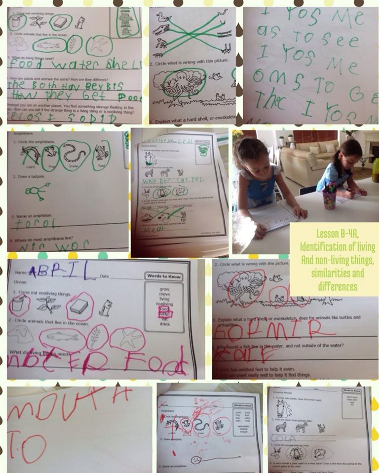 10547243_335271963307167_2025353881307684019_o