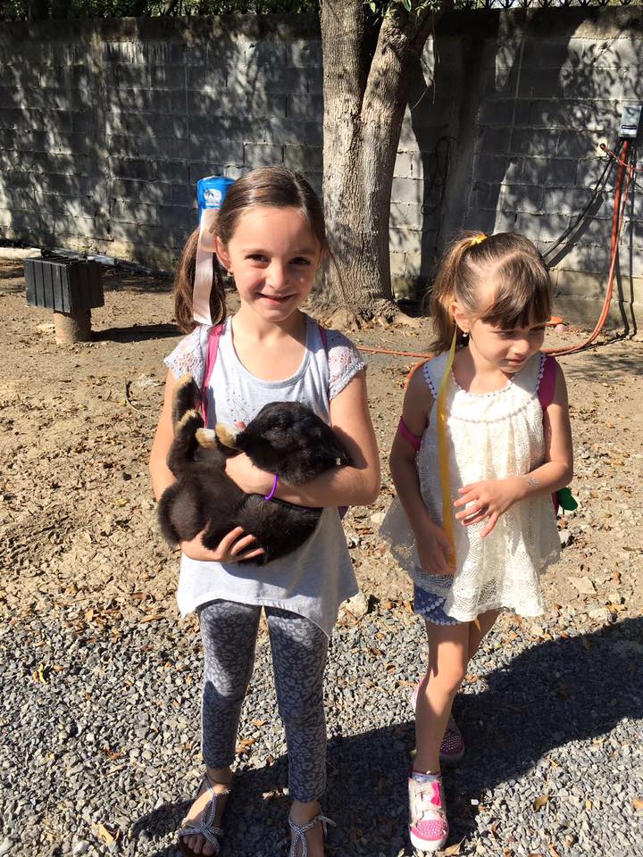 14908380_690128721154821_2438918707704148245_n