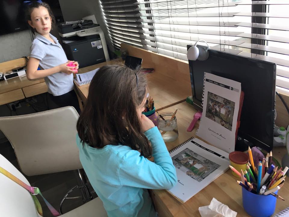 15940496_730603230440703_1441144855670141851_n