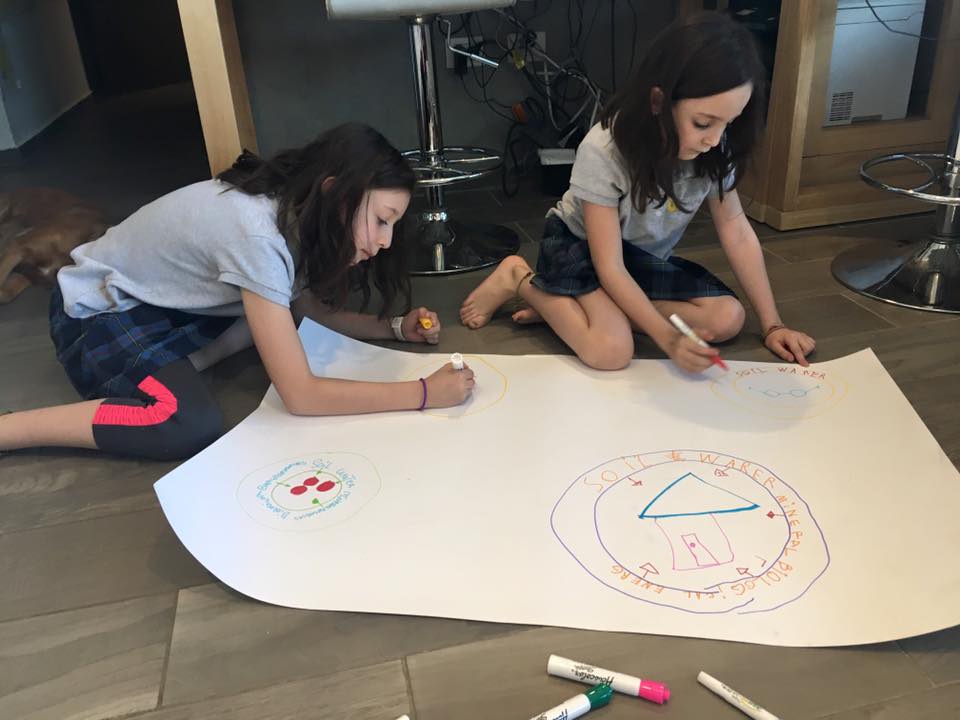 16266037_737187336448959_4001209933757274889_n